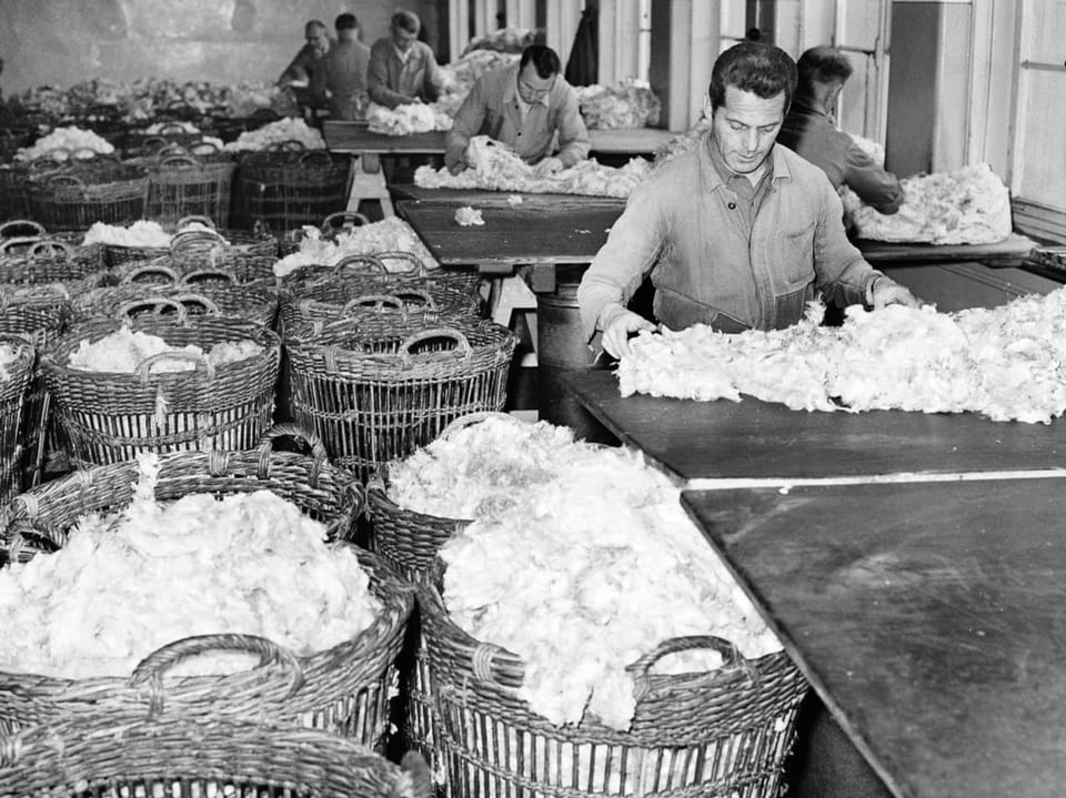 Männer sortieren Wolle in einer Fabrik.