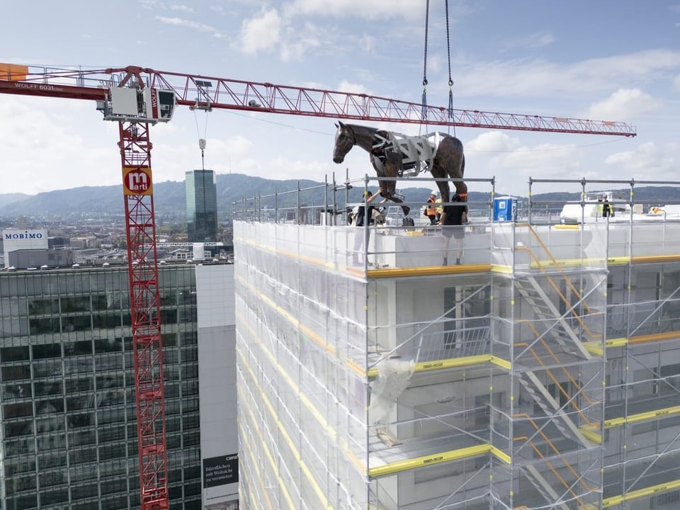 Pferd wird mit einem Kran auf einem Hochhaus platziert.