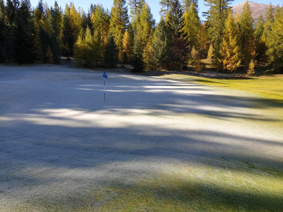 Golfrasen mit Fahne, umgeben von Bäumen im Herbst.