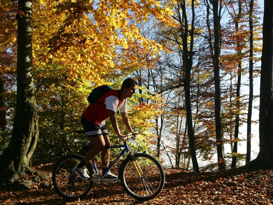 Mann fährt Fahrrad im herbstlichen Wald.