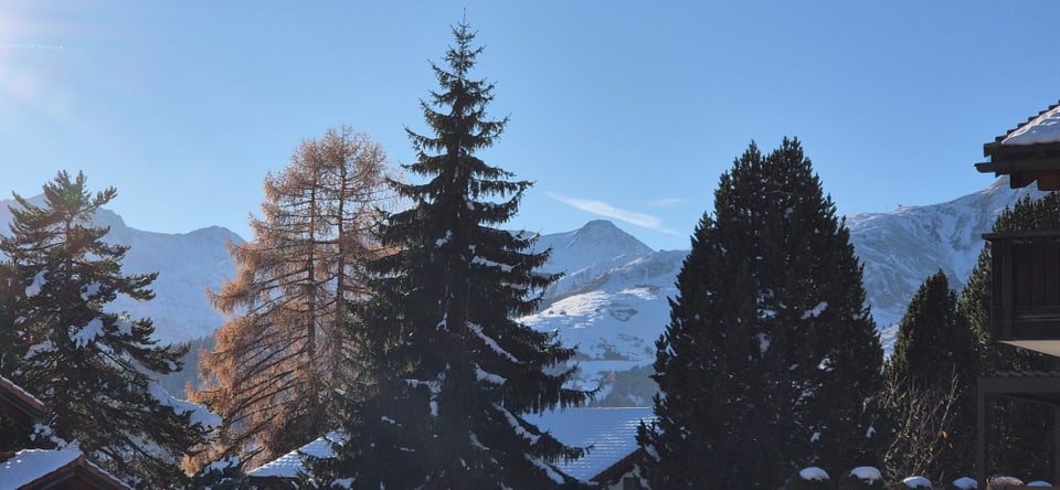 Schneebedeckte Berge und Bäume bei klarem Himmel.