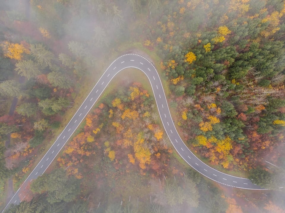 Herbstliche Verfärbung