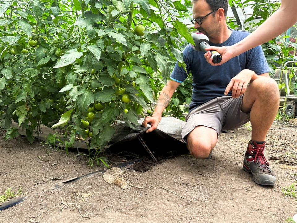 Sebi zeigt die Schläuche im Boden des Gewächshauses. Diese sorgen für die richtige Bewässerung der Pflanzen.