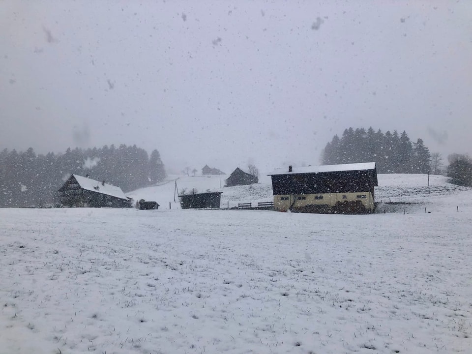 Verschneite Landschaft mit Bauernhäusern im Hintergrund.