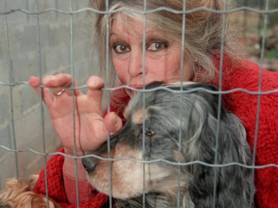 Frau in rotem Pullover mit Hund hinter einem Zaun.