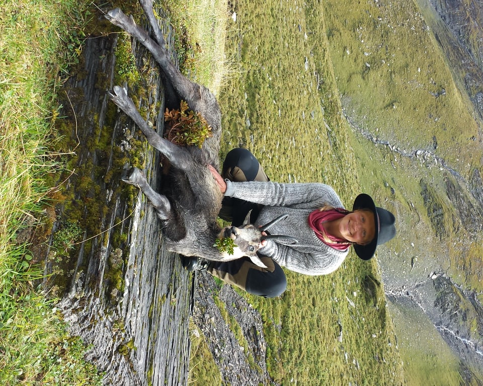 Andrea Caviezel ha sajettà quest buc chamutsch da 7 ed in quart onns sin l'Alp Blengias. 