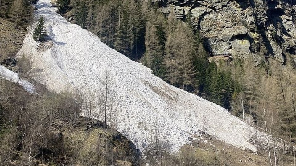 Lawine auf Bergseite mit Bäumen.