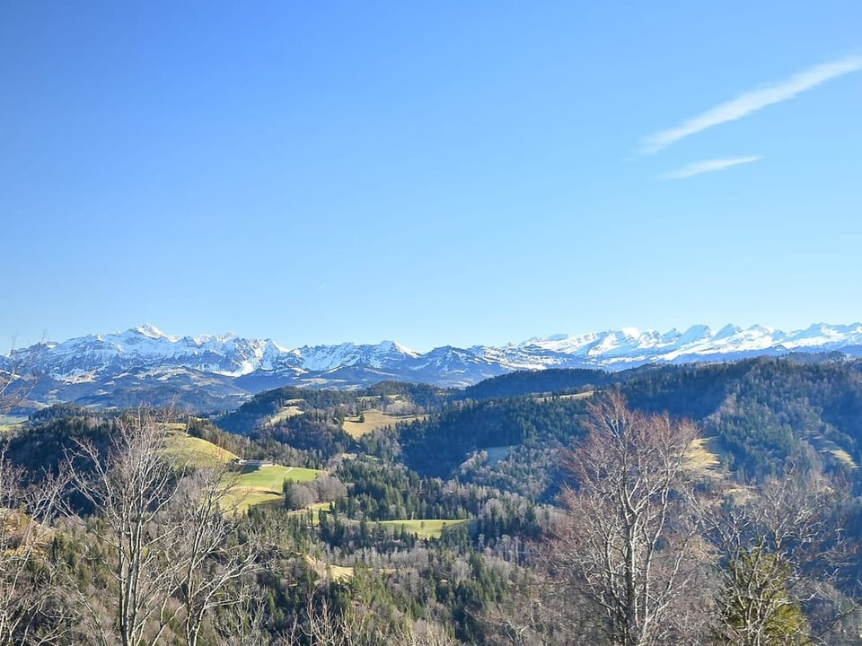 Blick in Richtung Alpstein vom Hörnli.