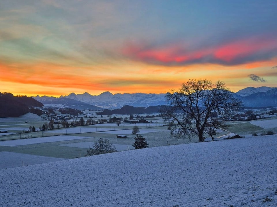 Winterlandschaft bei Sonnenuntergang mit Baum im Vordergrund.