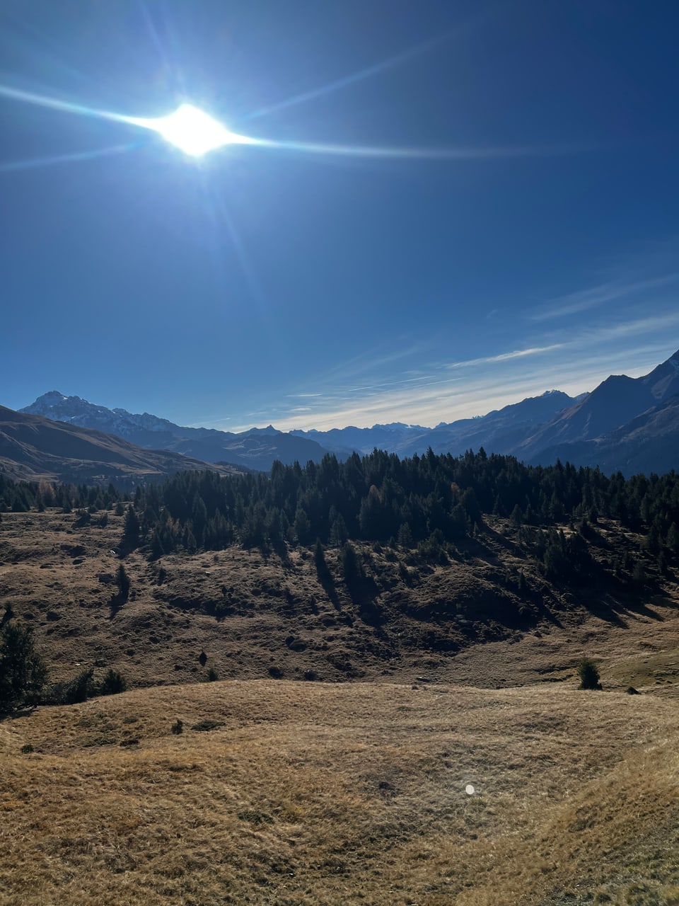 Sonnenbeschienene Berglandschaft mit Bäumen im Vordergrund.