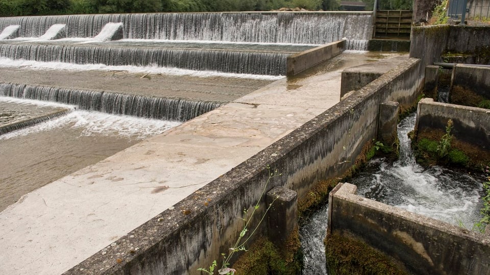 Bild einer Flussverbauung mit einer Fischtreppe.