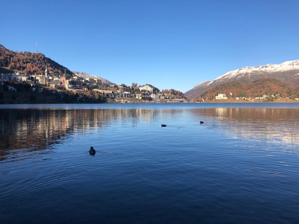 See mit Enten und Berglandschaft im Hintergrund.