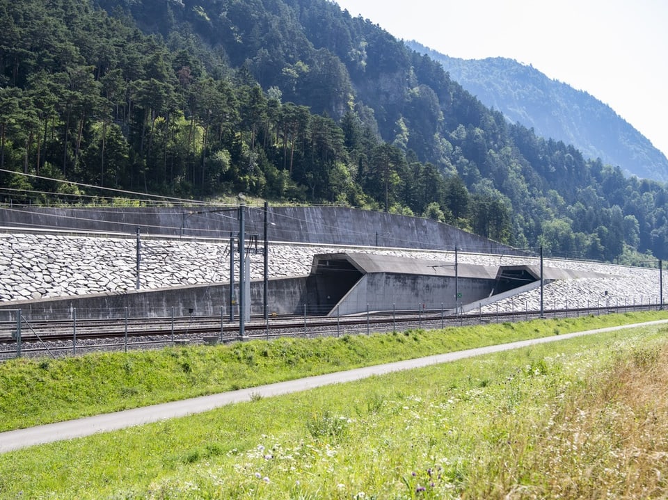 Eisenbahntunnel in einer bergigen Landschaft mit grüner Wiese.