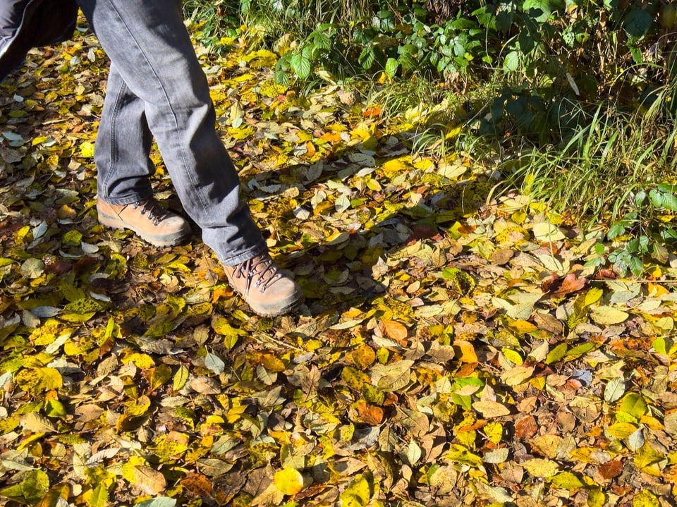 Eine Person läuft mit Wanderschuhen beim Waldbaden über einen laubbedeckten Boden