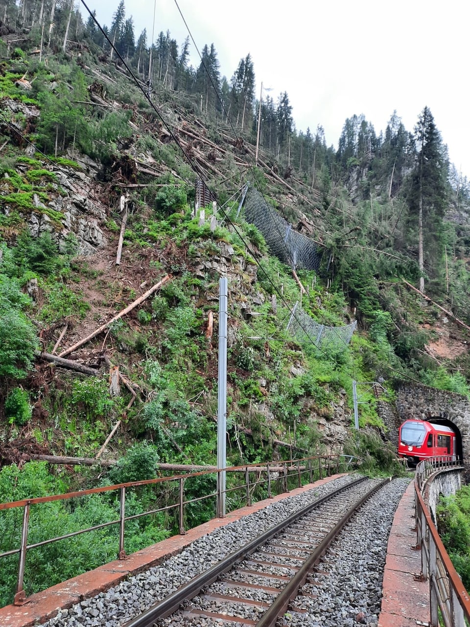 Baumwurf Davos – Filisur.