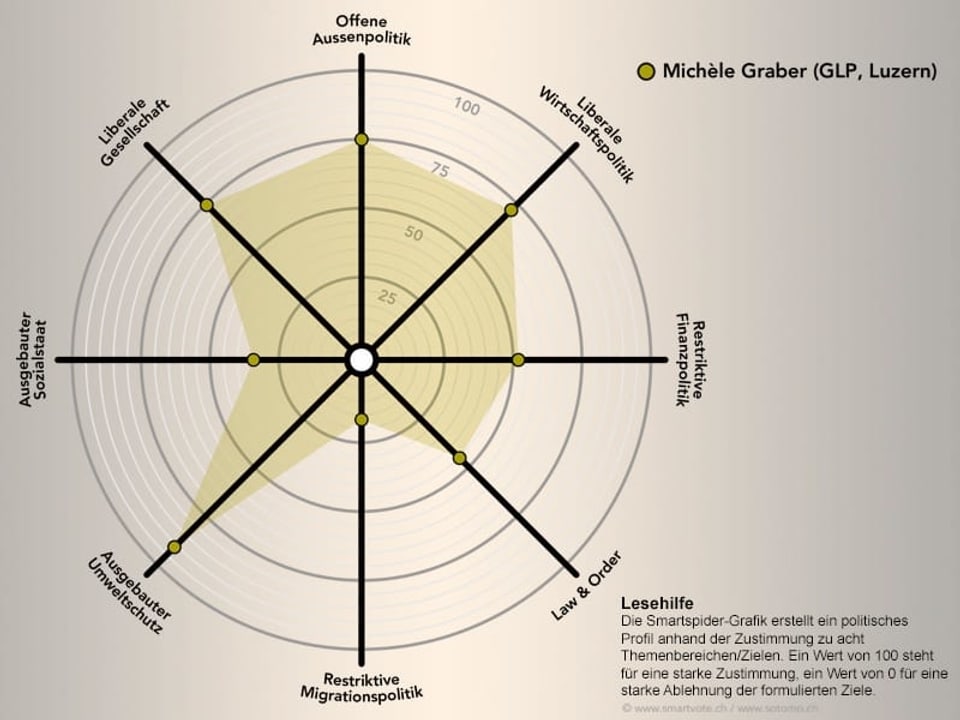 Das politische Profil von Michèle Graber schematisch dargestellt.