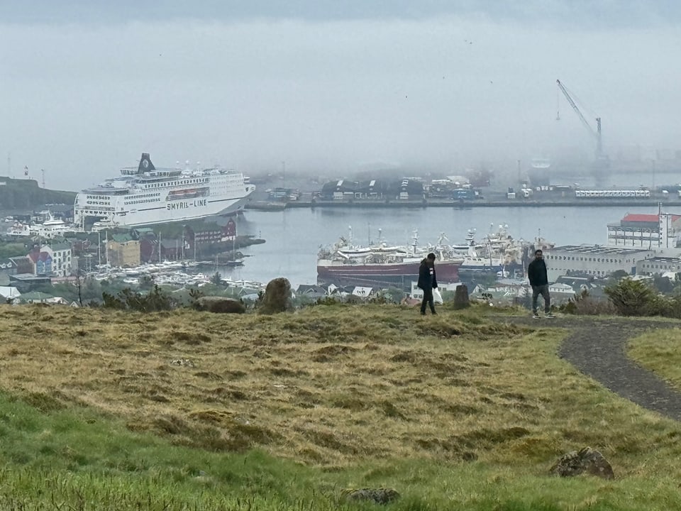 Blick auf einen nebligen Hafen mit Kreuzfahrtschiff und zwei Personen auf einem Hügel.