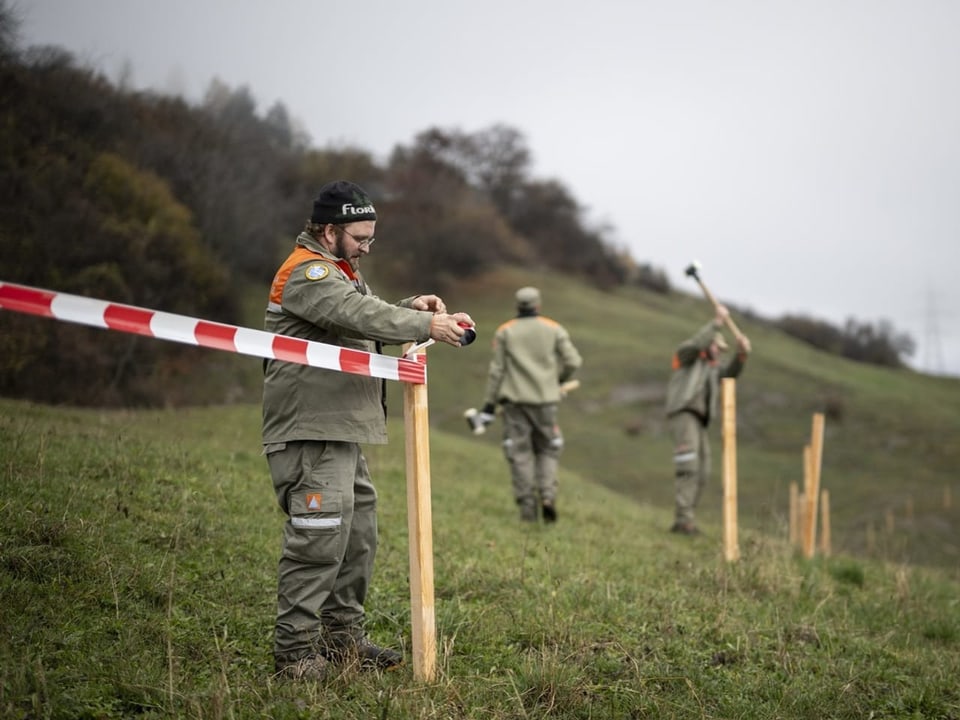 Menschen bauen einen Zaun auf einer Wiese.