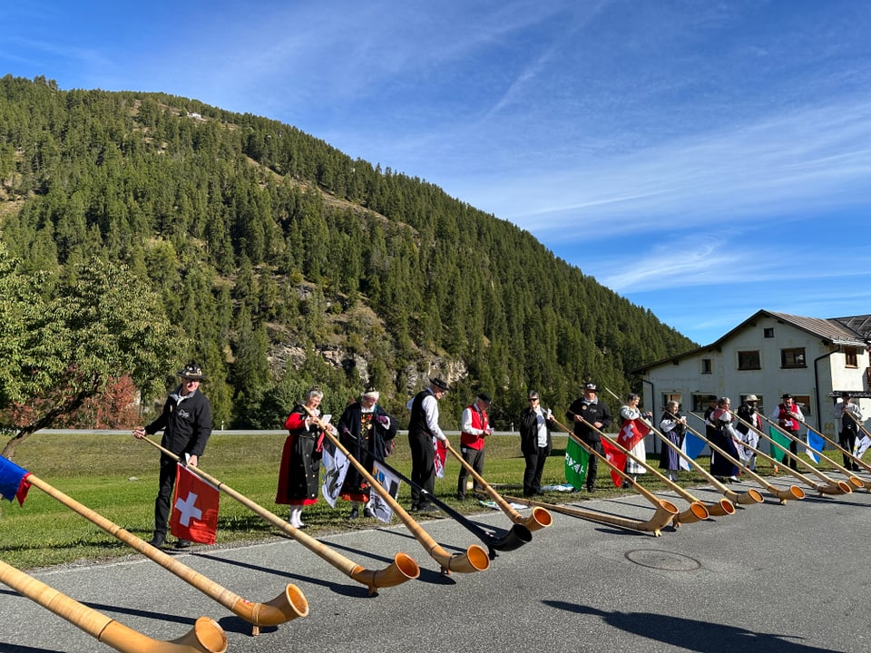 Gruppe von Alphornbläsern in traditioneller Kleidung vor bewaldetem Hügel.