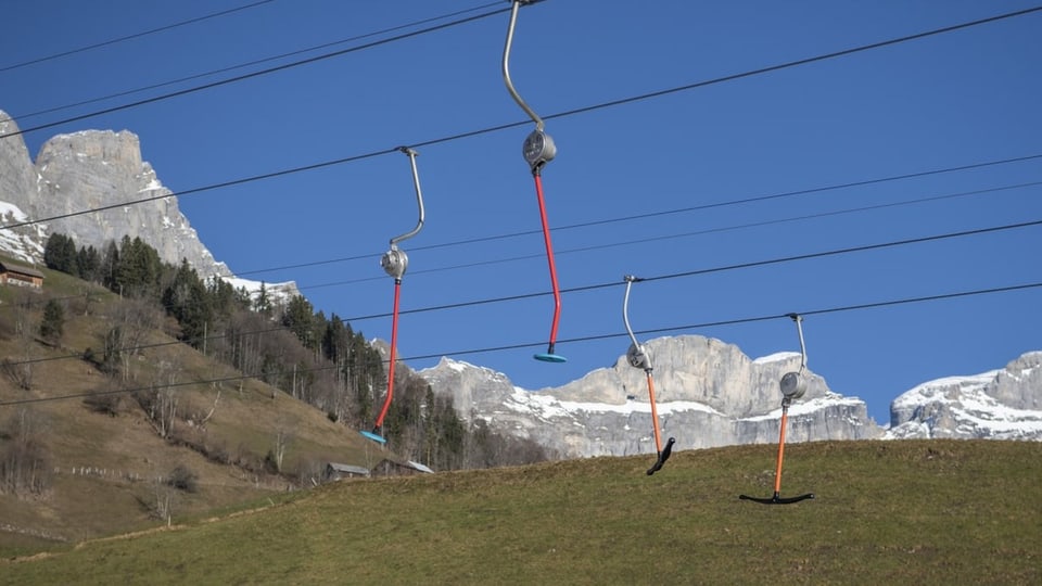 Grüne Skipiste.