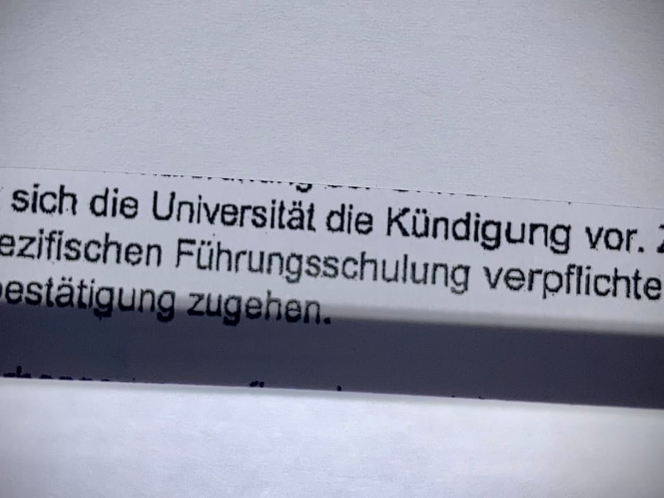 Auszug aus der Abmahnung