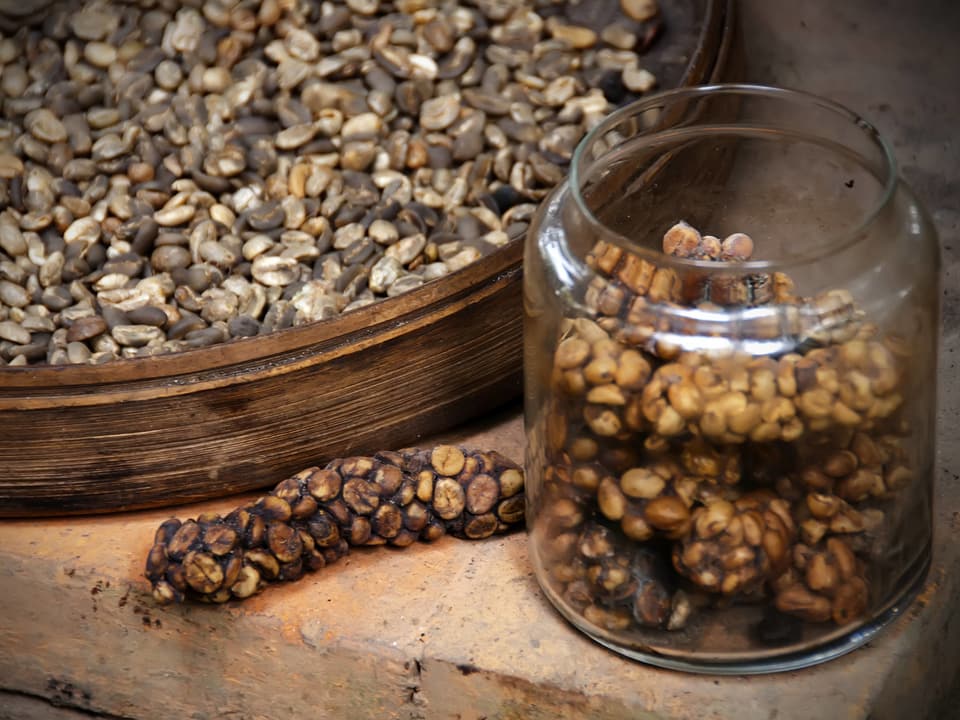 Kaffeebohnen in einer Schale, gerösteter Kaffee in einem Glas und Kaffeebohnen in einer Katzenausscheidung.