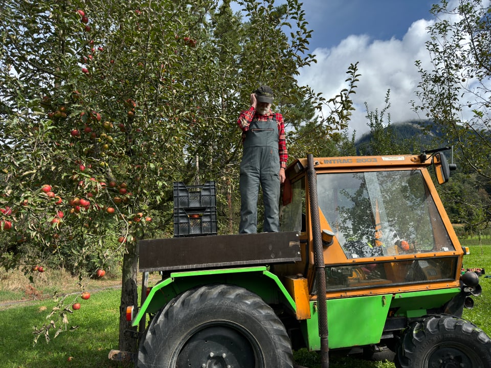 Person steht auf Traktor und erntet Äpfel von einem Baum.