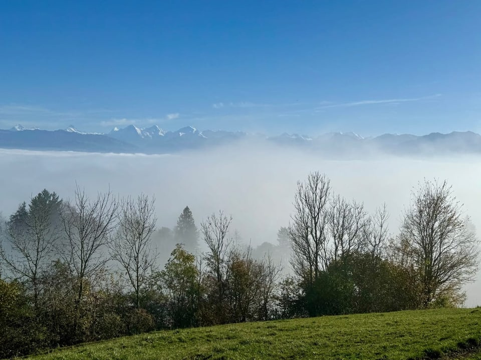 Nebel bedeckt Landschaft mit schneebedeckten Bergen im Hintergrund.