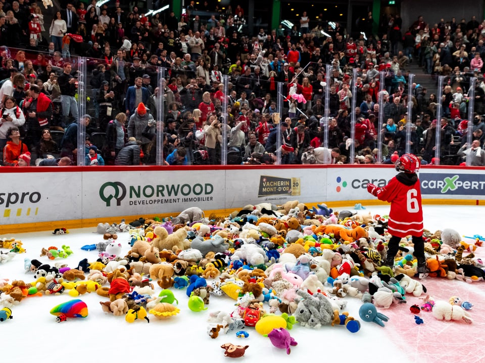 Eishockeyspieler auf Eis mit vielen Stofftieren, Zuschauer im Hintergrund.