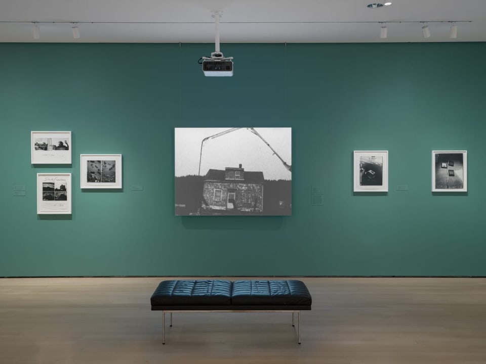 Kunstgalerie mit grünen Wänden und mehreren Fotografien.