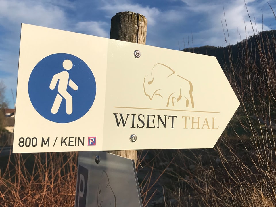 Wegweiser Wisent Thal