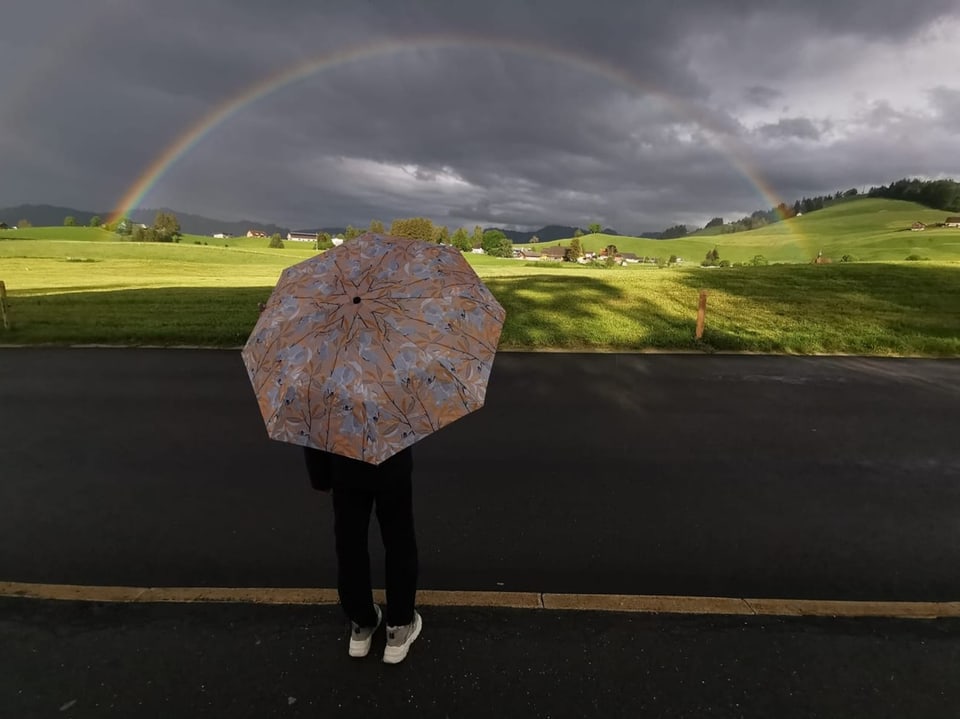 Person mit Regenschirm vor Regenbogen über grünem Feld.