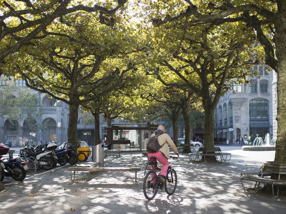 In der Stadt Zürich soll es mehr Bäume geben