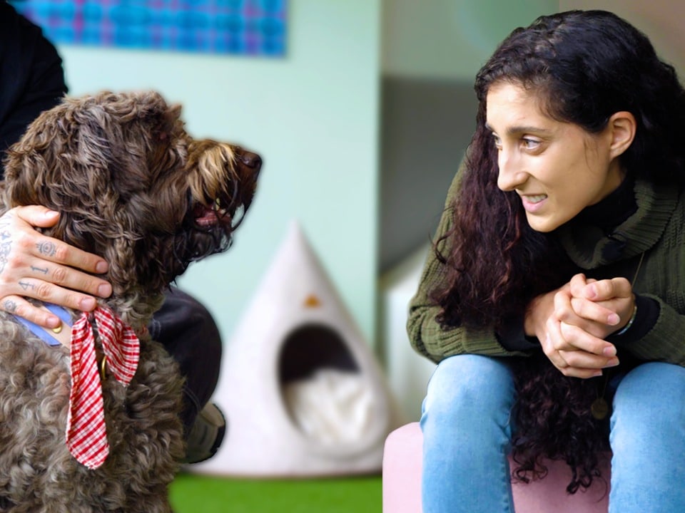 Ein Hund der Rasse Labradoodle und eine junge Frau schauen sich in die Augen.