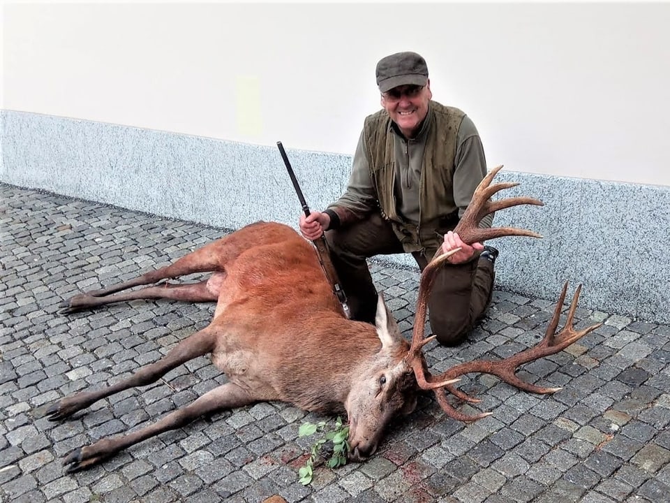 Tschierv da curuna che Jonpeider Strimer ha sajettà. 