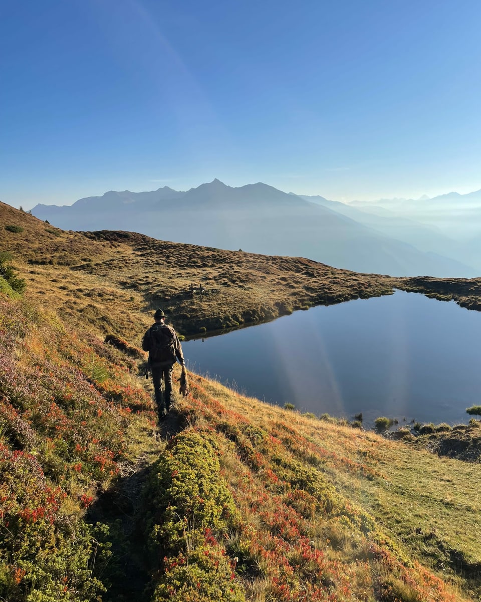 Jagd auf Murmeltieren auf der Alp Stierva.