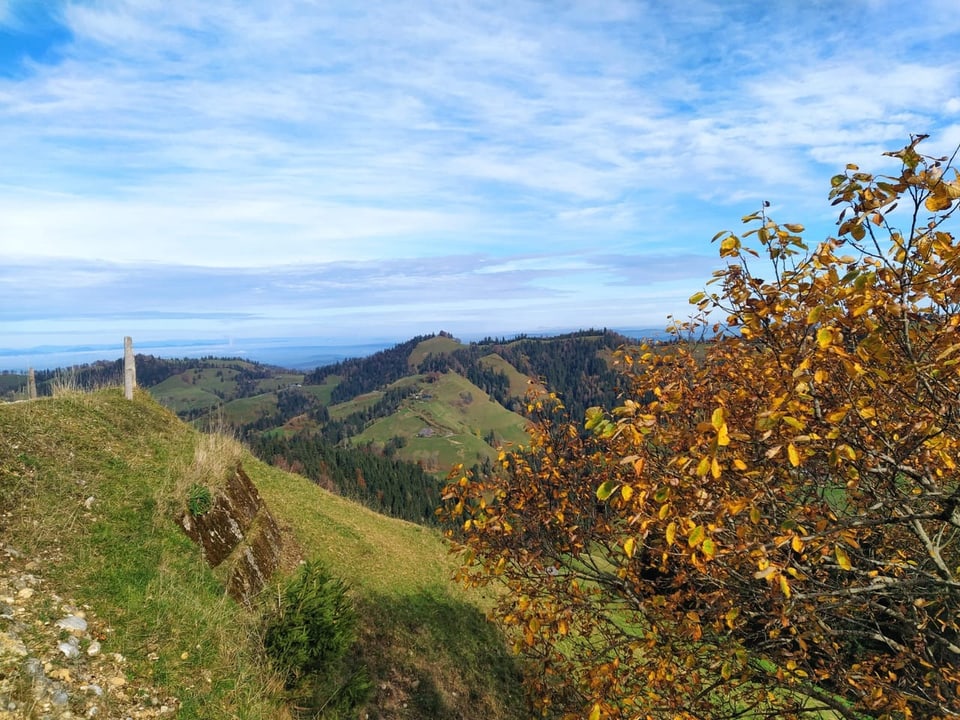 Ausblick über das Mittelland