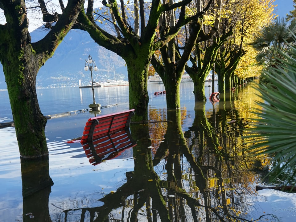 Im Hochwasser spieglen sich Bäume. Dazu steht eine Sitzbank bis zur Sitzfläche im Wasser.