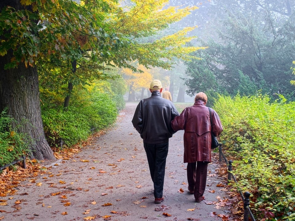 Zwei Personen gehen auf einem blätterbedeckten Weg im Park spazieren.