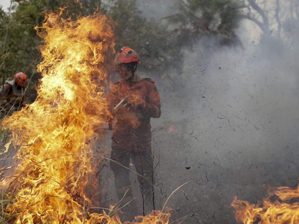 Feuerwehrmann kämpft gegen Feuer im dicht bewaldeten Gebiet.