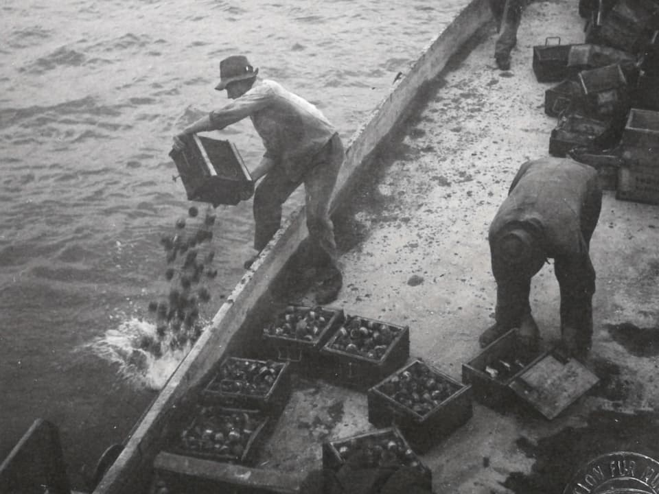 Zwei Männer entsorgen Kisten mit Obst ins Wasser von einem Boot aus.