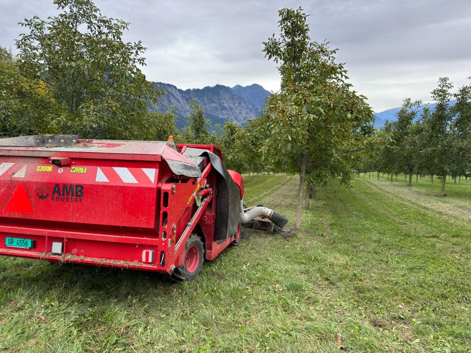 Roter Maschinenwagen in einer Baumplantage mit Bergen im Hintergrund.