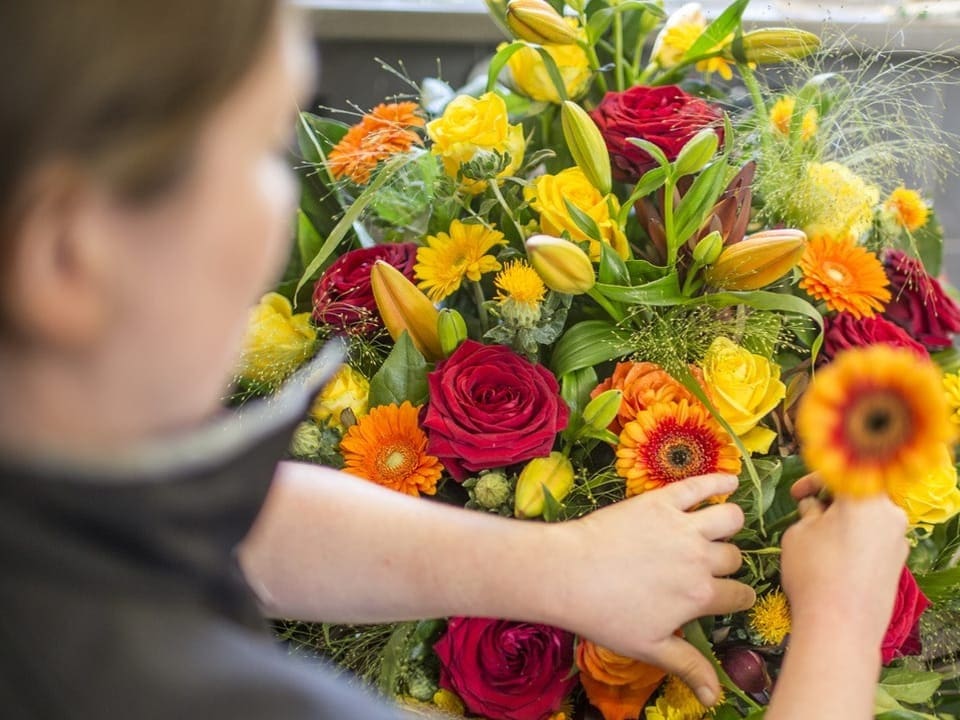 Person arrangiert bunte Blumen.