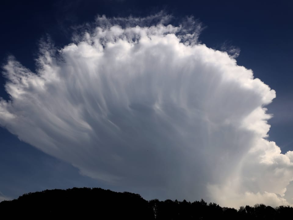 Eine grosse Wolke erstreckt sich am Himmel über einem Wald.