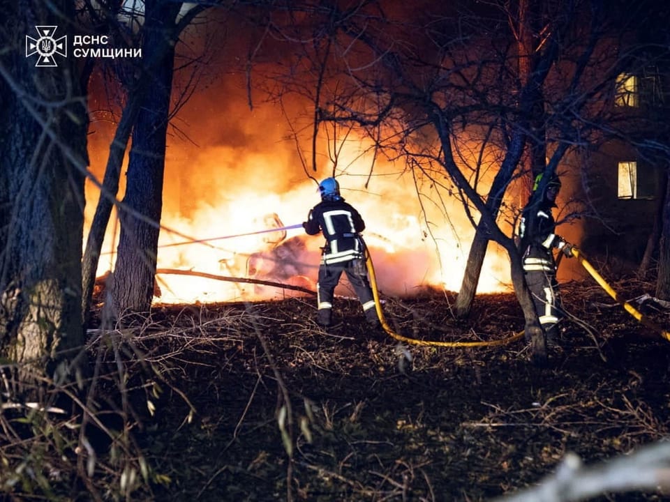 Feuerwehrleute bekämpfen nächtlichen Waldbrand.