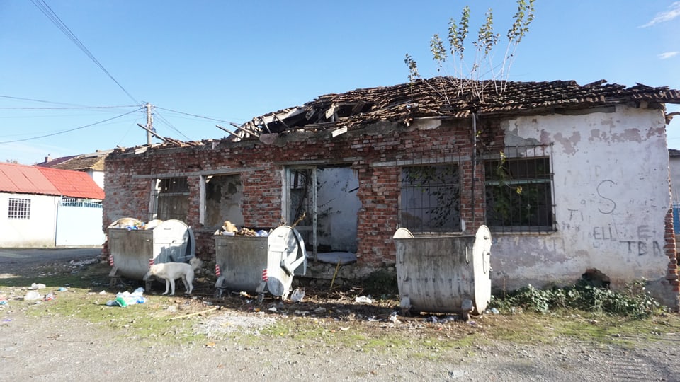 Ein heruntergekommenes Haus davor Abfall, ein Hund.