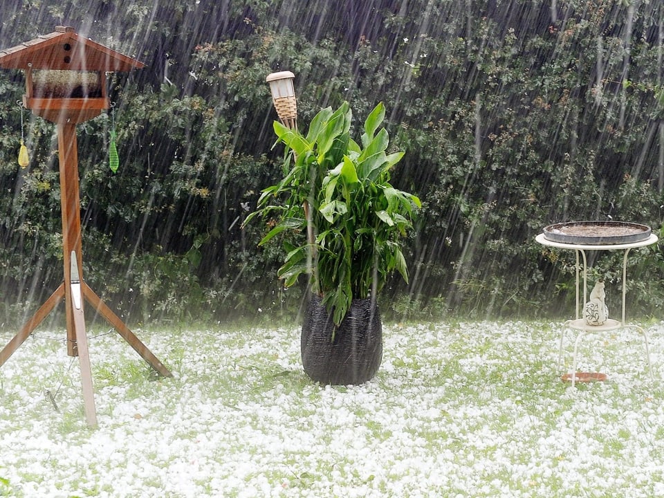 Ein Garten wird von Hagelhörnern übersäht