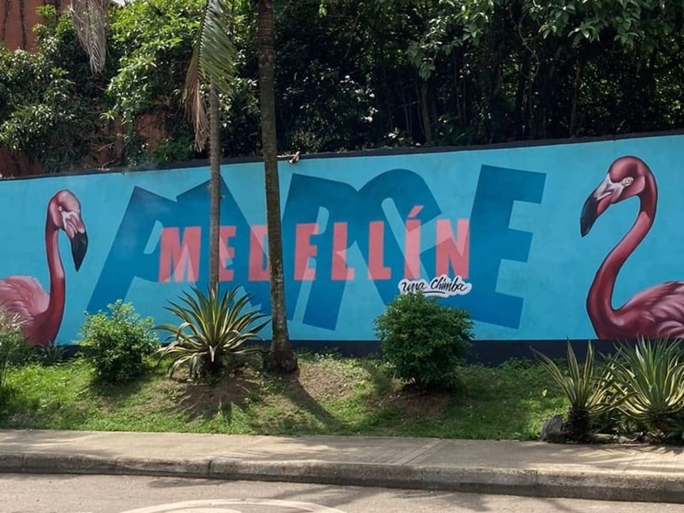 Wandgemälde mit Flamingos und dem Schriftzug 'Medellín'