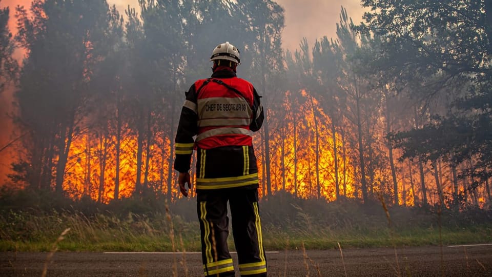 A firefighter tackles a forest fire near Landras.