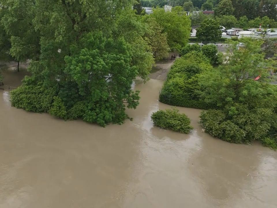 Hochwasser bei Zurzach